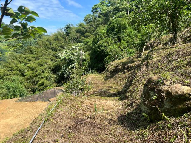東勢農地-4
