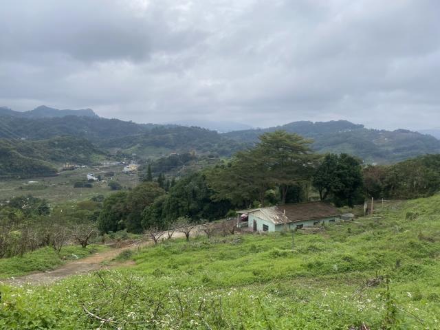 台中東勢農地-2