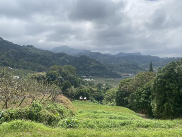 台中東勢農地-1