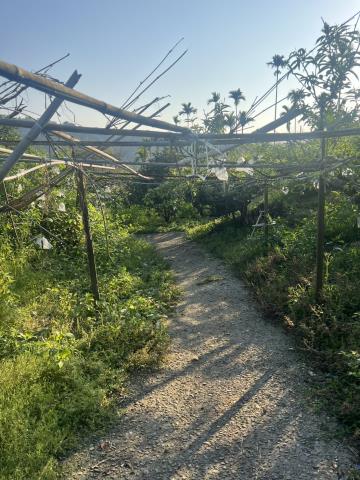 台中東勢農地-12