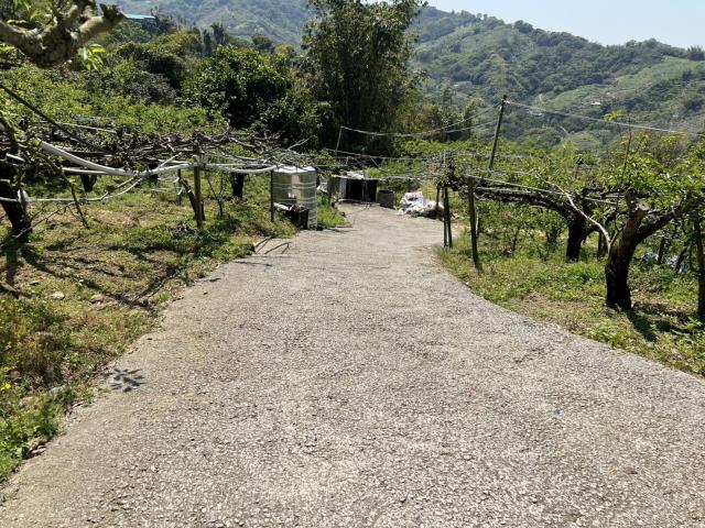 台中東勢農地-1