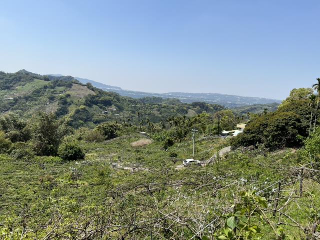 台中東勢農地-4
