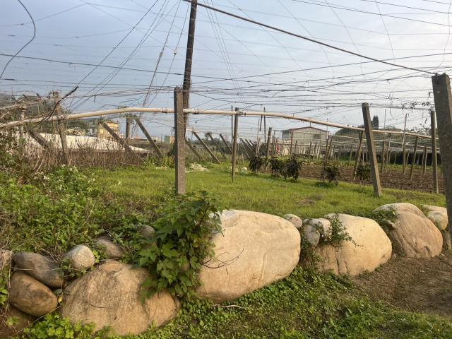 台中東勢農地-4