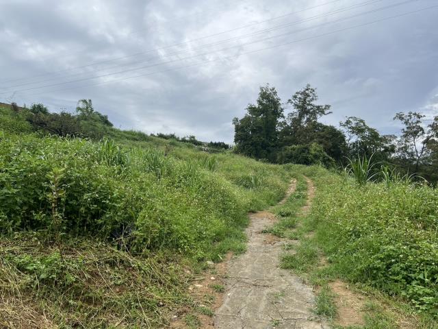 東勢農地-1