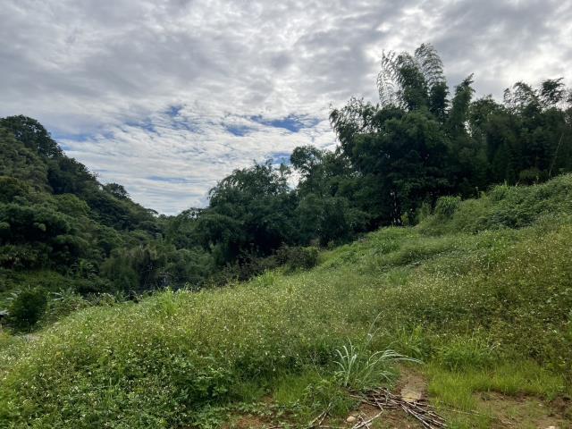 東勢農地-2