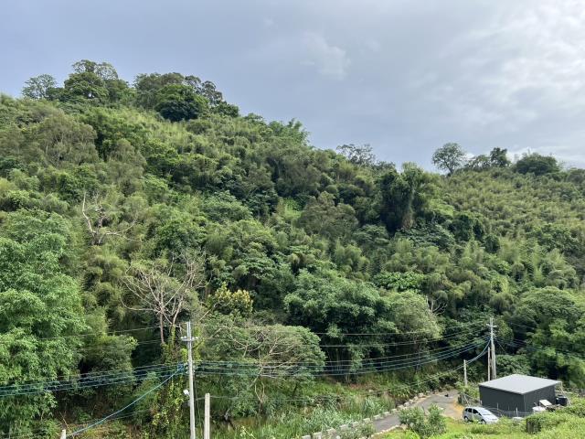 東勢農地-7