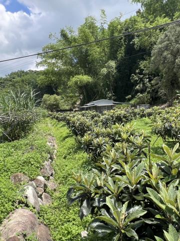 台中農地-5