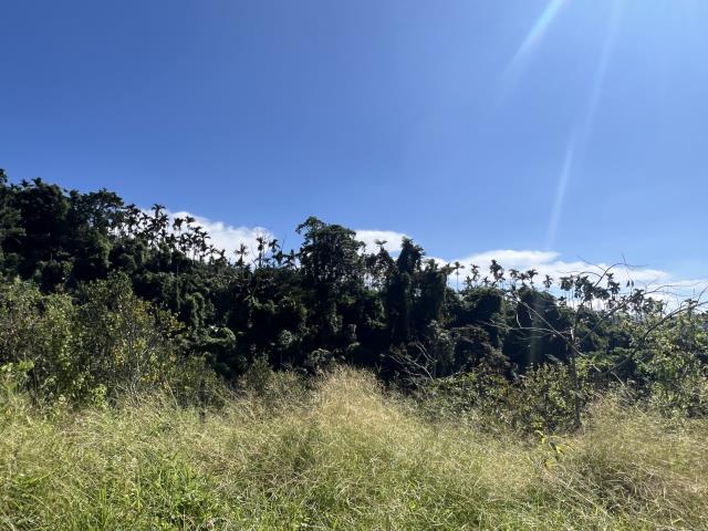 台中農地-1