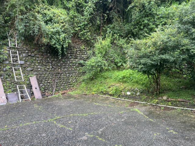 台中東勢林地-4