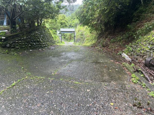 台中東勢林地-5