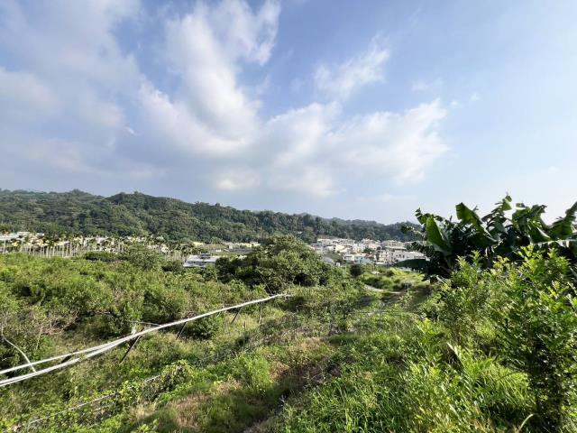 台中農地-0