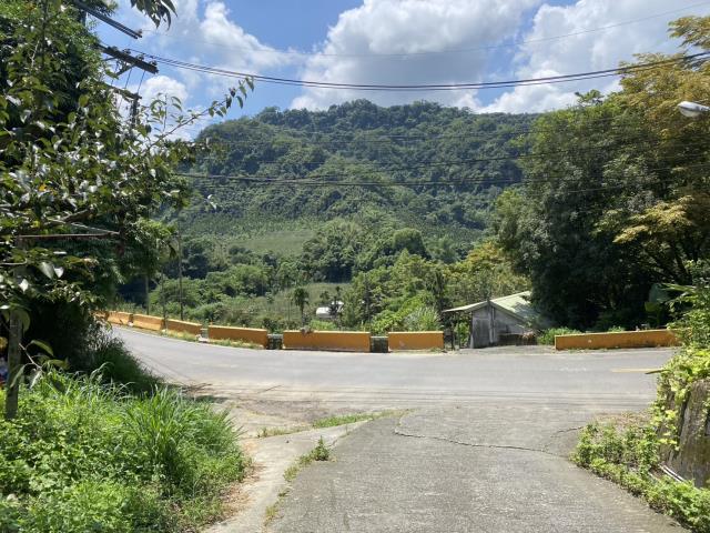 台中東勢農地-0