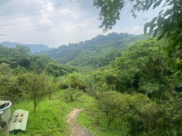 台中東勢農地-10