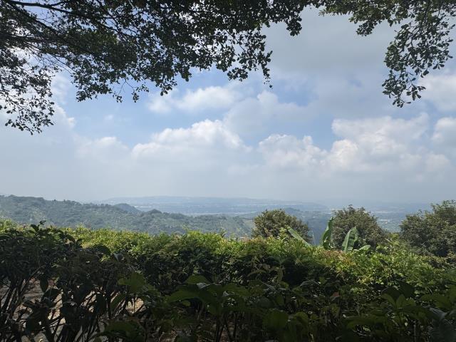 台中農地-3