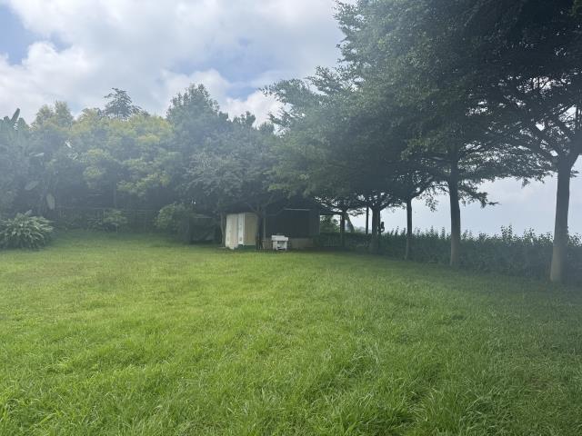 台中農地-2