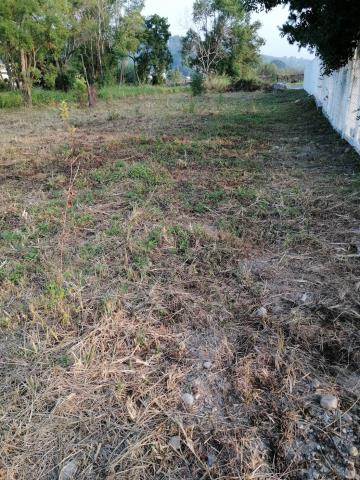 台中東勢農地-2