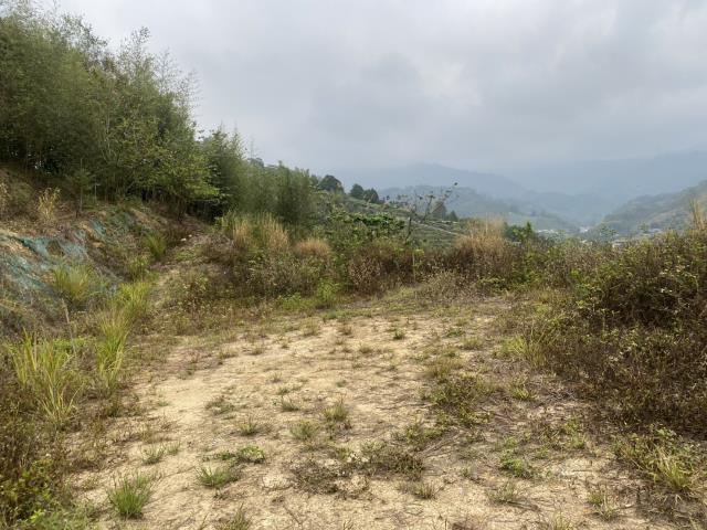 台中東勢農地-1