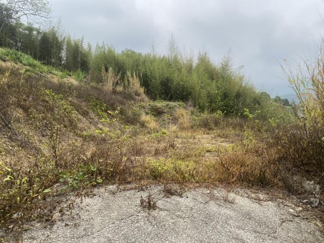 台中東勢農地-3