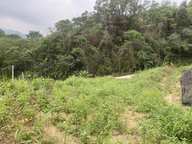 台中東勢農地-4