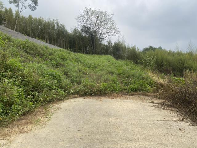 台中東勢農地-0