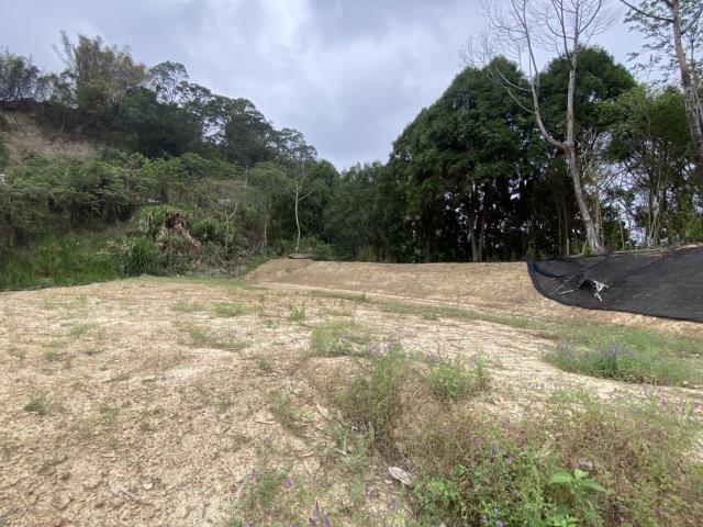 台中東勢農地-6