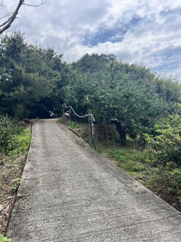 台中東勢農地-0