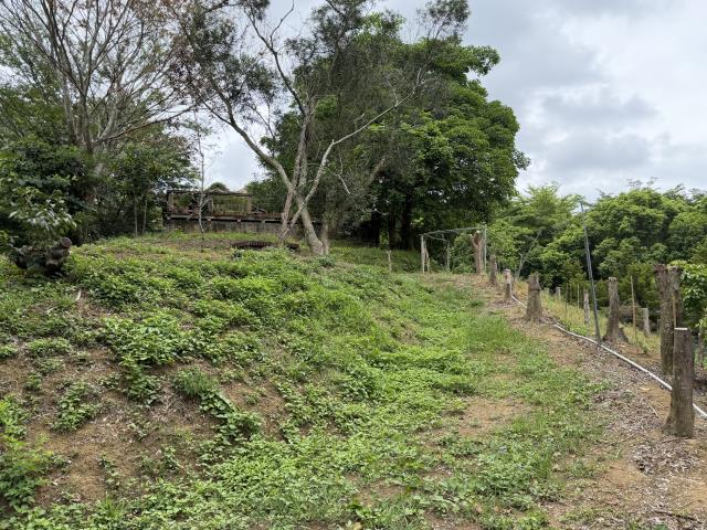 台中農地-2
