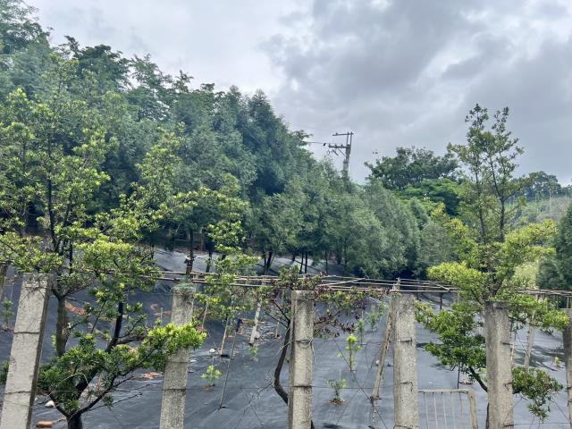 台中農地-7